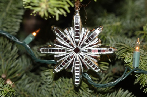 Christmas Tree Silver Star